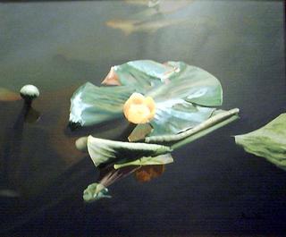 Model 36 