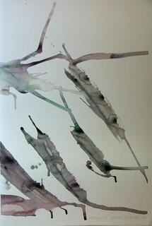 Model 29 