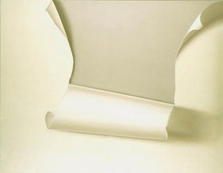 Model 19 