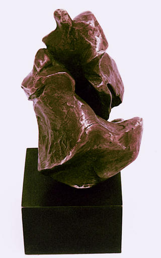 Model 41 