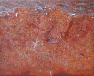 Model 6 