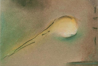 Model 44 