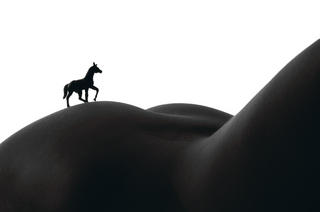Model  
