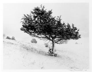 Model 4 