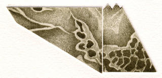 Model 2 