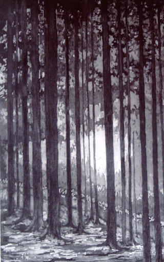 Model 15 