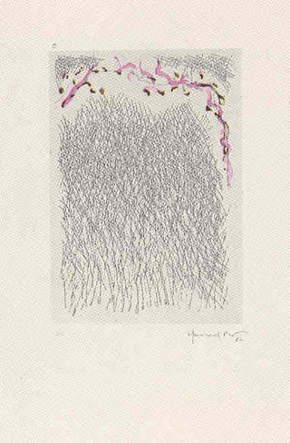 Model 15 