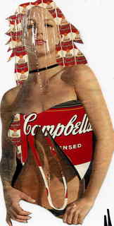 Model 13 