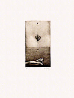 Model 4 