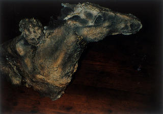 Model 1 