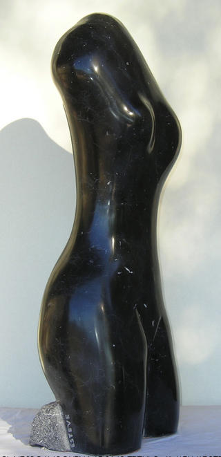 Model 31 
